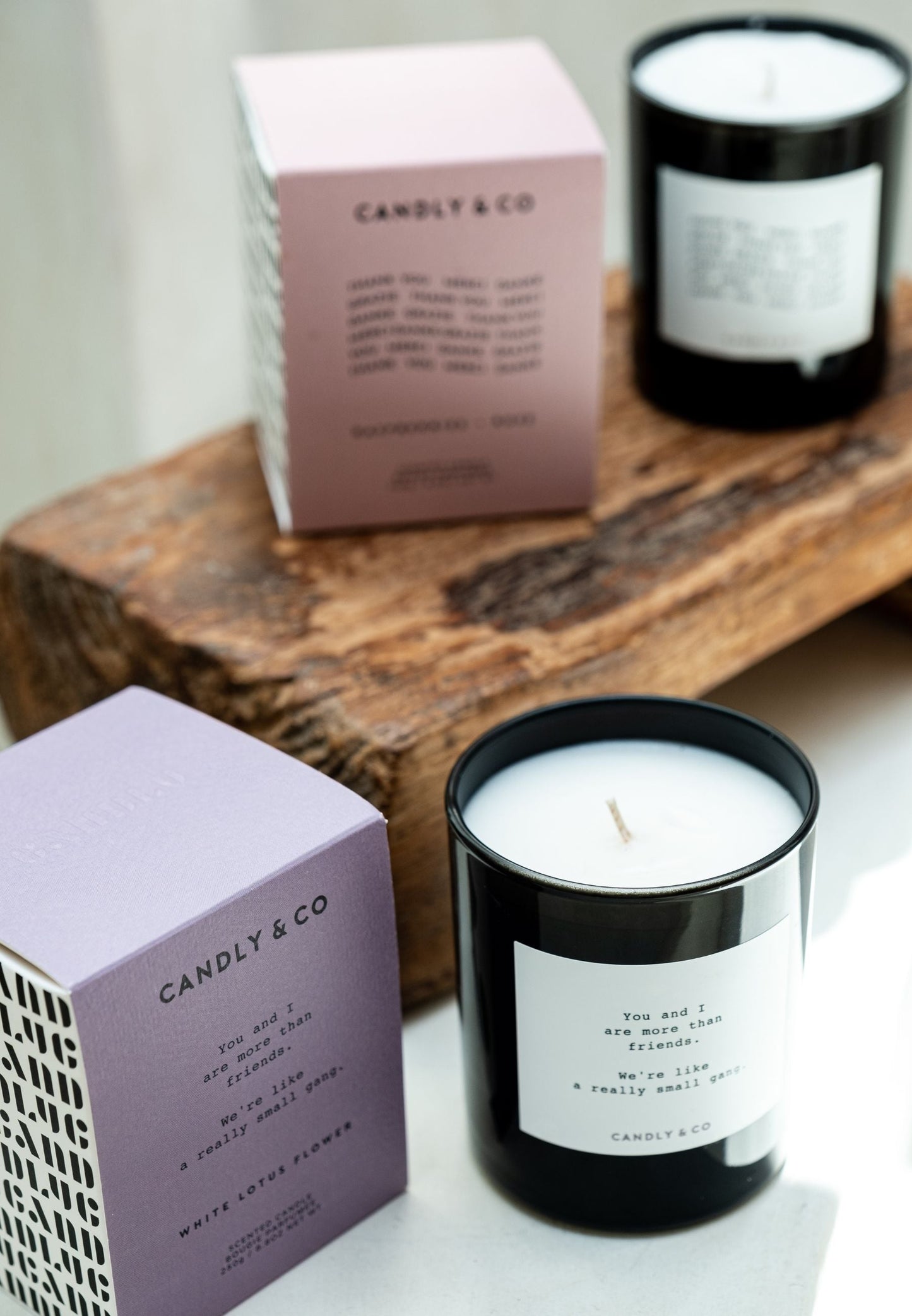 Candle No.8 You and I are more than friends.