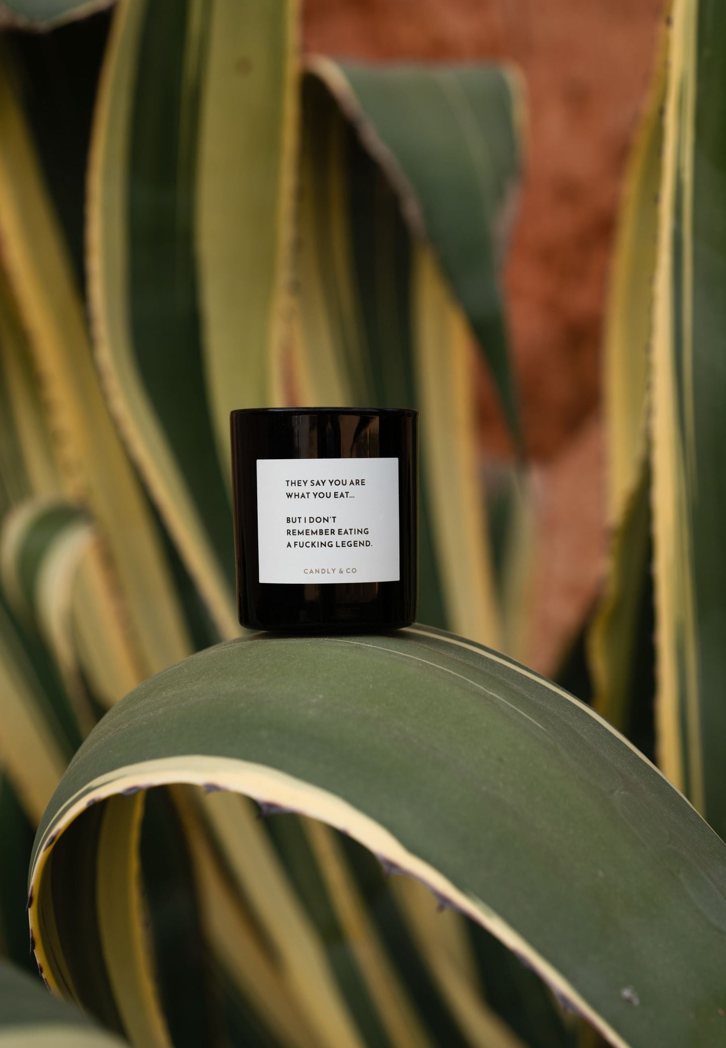 Candle No.1 They say you are what you eat