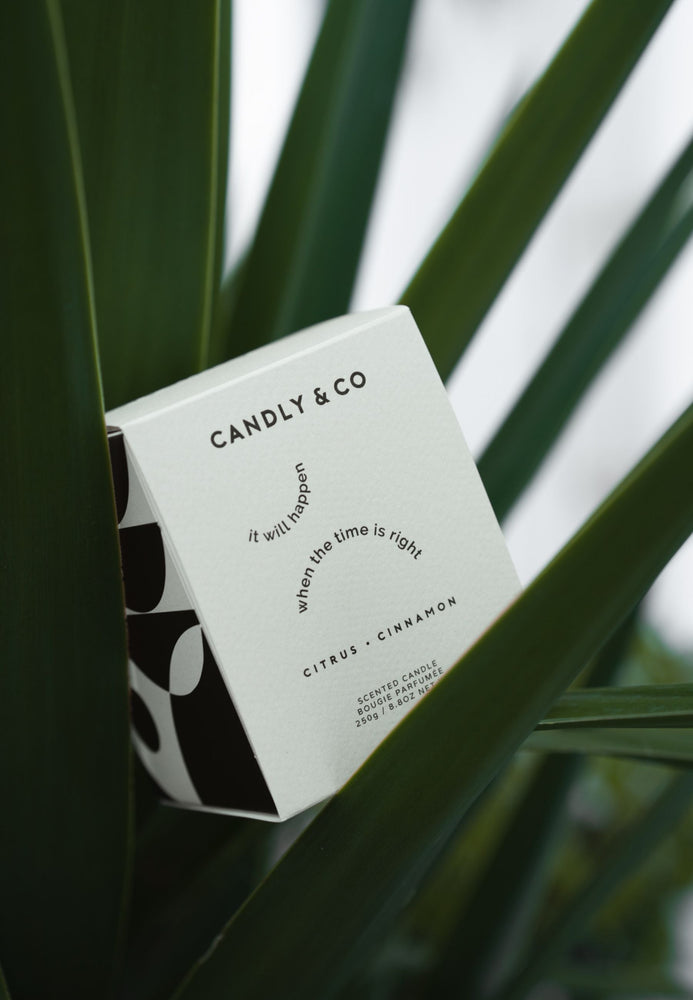 Candle No.3 It will happen