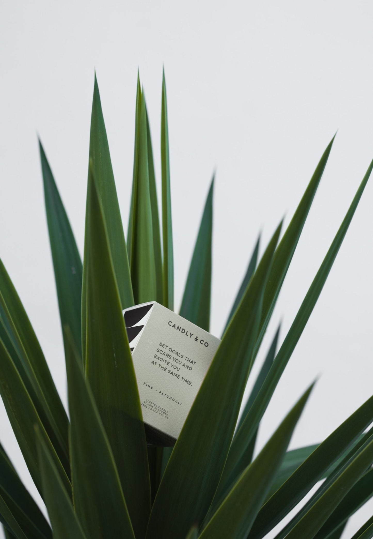 Candle No.4 Set goals that scare you