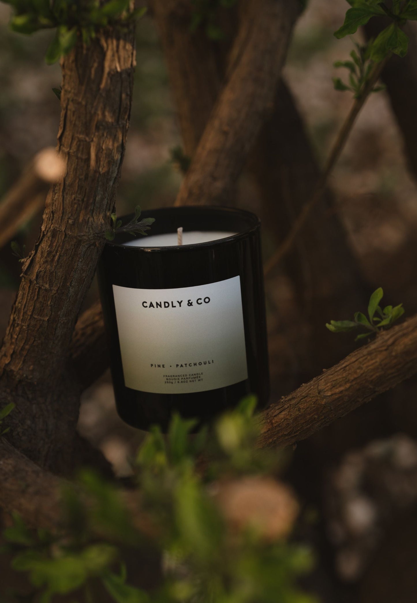 Scented Candle No.4 "Pine / Patchouli"